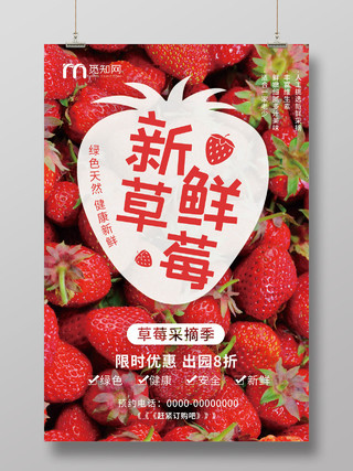红色创意新鲜草莓采摘季促销水果海报